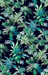 热带植物