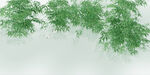 竹林