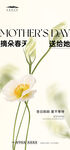 母亲节