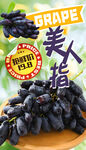 葡萄海报 美人指
