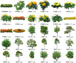 高清树木花卉绿植免抠贴图素材 