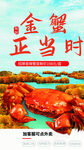 大闸蟹海报