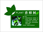 植物介绍牌