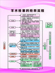 羊水栓塞的抢救流程