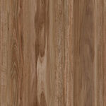 棕色 清晰大气木纹 TiF合层