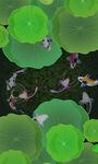 锦鲤池塘荷塘3D地画