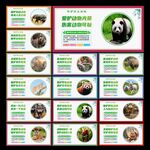 保护野生动物
