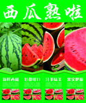 西瓜熟了