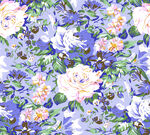玫瑰花