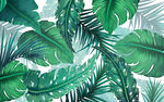 热带植物叶子背景墙装饰画