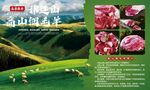 高山细毛羊装饰海报分解鲜肉灯箱