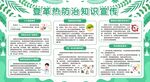 夏季预防疾病登革热与防蚊展板