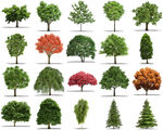 高清树木花卉绿植免抠贴图   