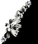 数码印花黑白花朵
