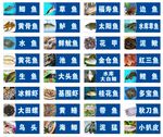 海鲜