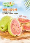胭脂红番石榴