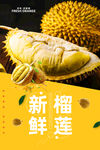 榴莲