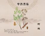 阿魏