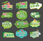 荷花节手举牌