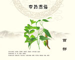 百部