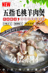 五指毛桃羊肉煲