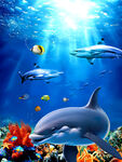 海豚海底世界