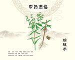 续随子