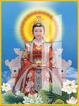 金花教主 