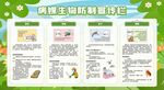 夏季除四害知识科普