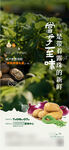 送蔬菜海报