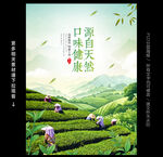 茶叶广告