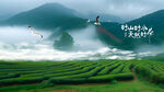 茶园茶山