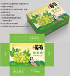 葡萄包装 水果盒子