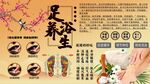 足疗养生背景墙
