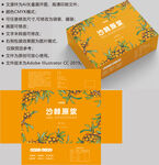沙棘包装