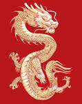 金龙插画