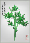 竹  