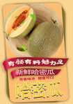 哈密瓜