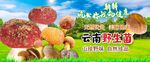 野生菌
