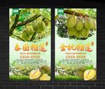 榴莲海报