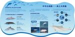 海豚科普展板