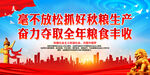 毫不放松抓好秋粮生产