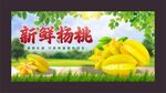杨桃