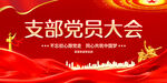 支部党员大会