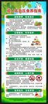 高血压日展架