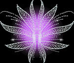 定位花