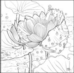 荷花图