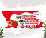 民族团结石榴籽精神文化墙图片