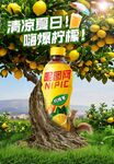 柠檬汁海报图片