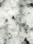 数码印花